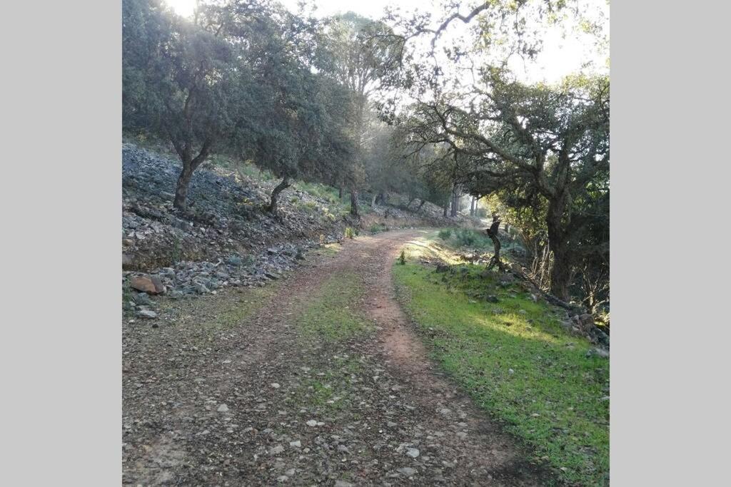 Casa Cijararural Βίλα Pantano de Cijara Εξωτερικό φωτογραφία